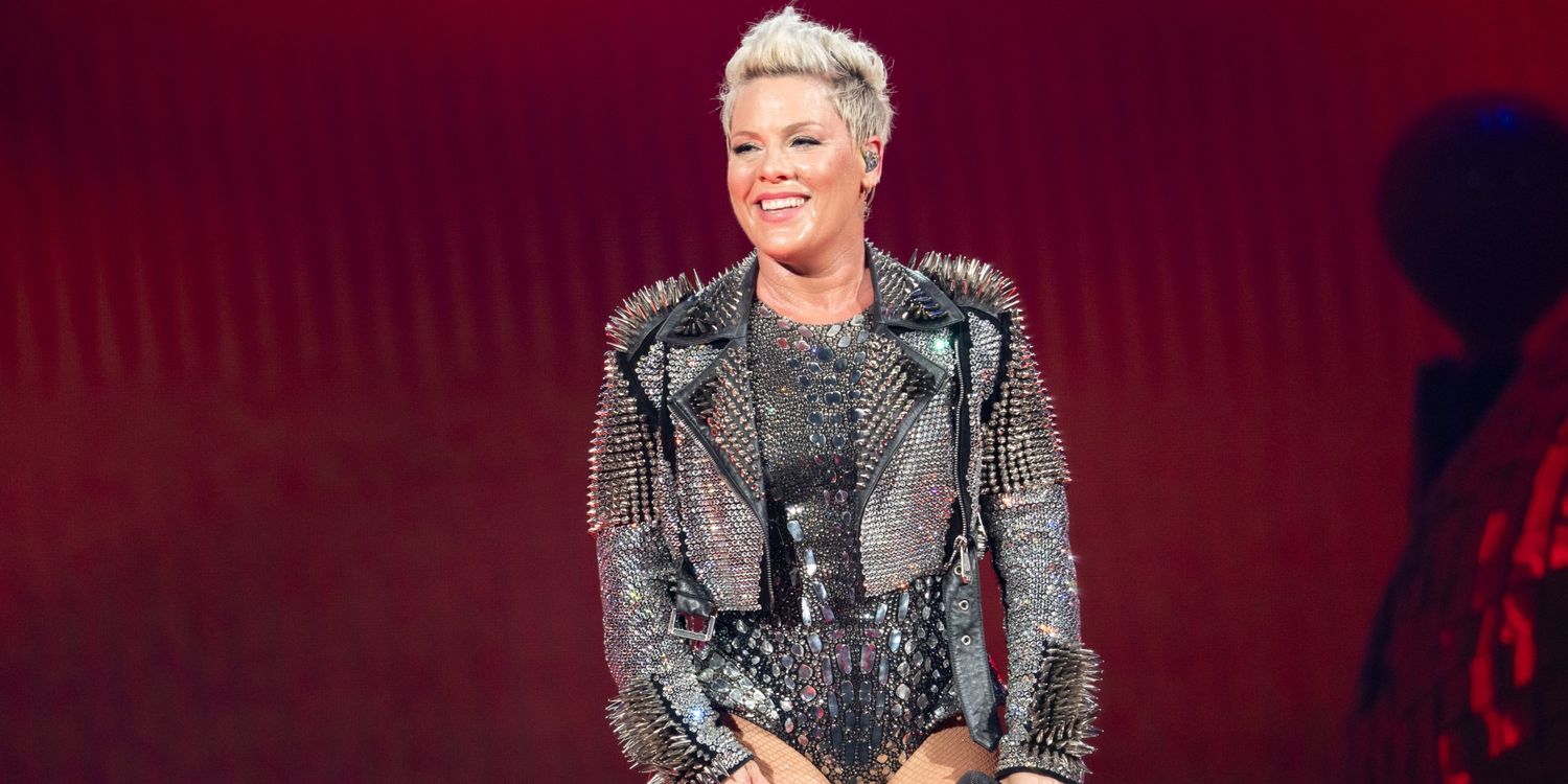 Pink's Daughter Willow Hart: Age, Music & High School Debut